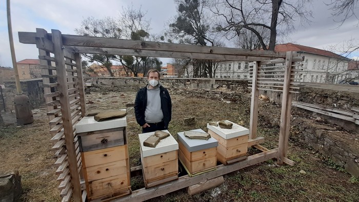 Včelárstvo ako dobrovoľný predmet na vysokej škole