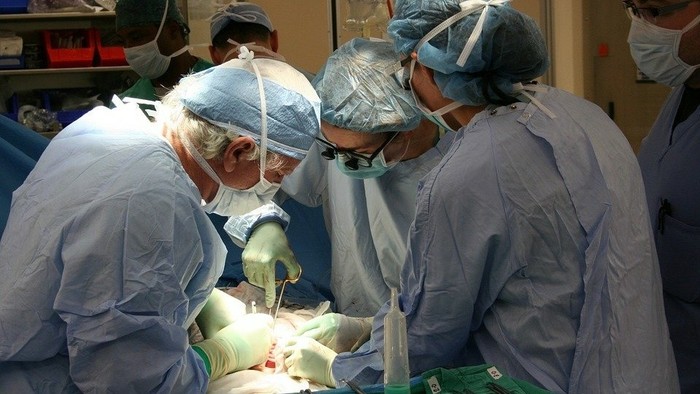 Transplantácie od živých darcov