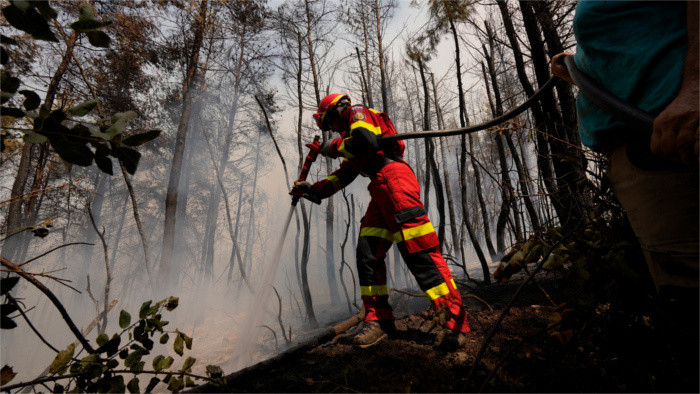 Slovak firefighters help put out wildfires on Greek island Evia 
