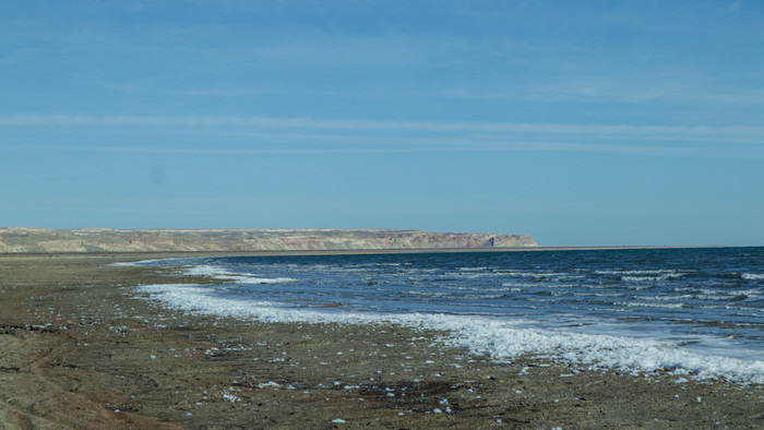 Aral.jpg