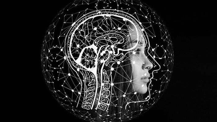 Dr. Krause - Záhady mysle / Mozog a jeho vývoj