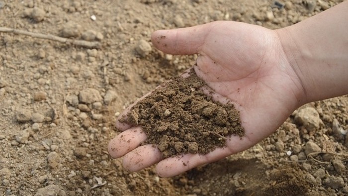 Zo zeme (s Barbarou) / Regenerácia pôdy po sezóne – organické hnojivo