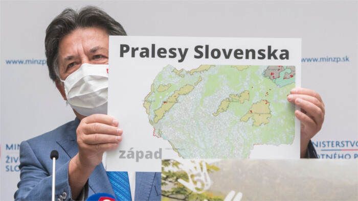 Las selvas eslovacas recibirán mayor protección
