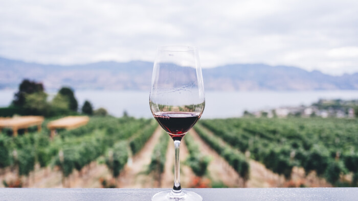 Nový portál cestovného ruchu propagujúci vinárov