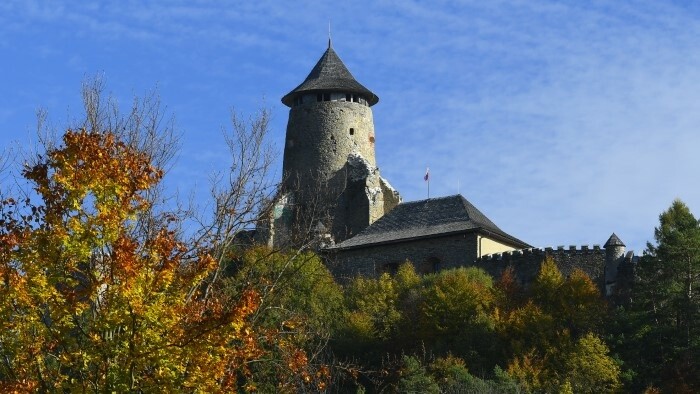 Продолжается реконструкция Любовнянского замка  