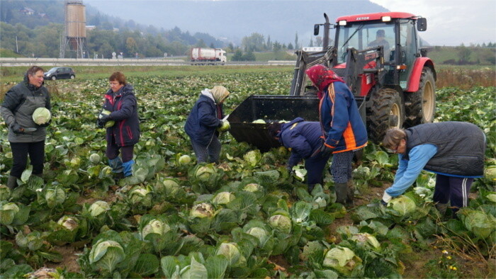 Según una climatóloga, la agricultura eslovaca ha cambiado en los últimos años