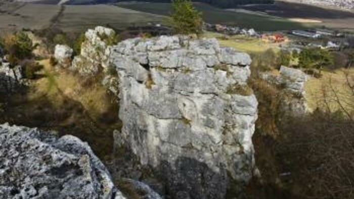 Štátna prírodná rezervácia Dreveník pri Spišskom hrade