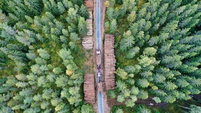 Moderná technika pri ťažbe dreva