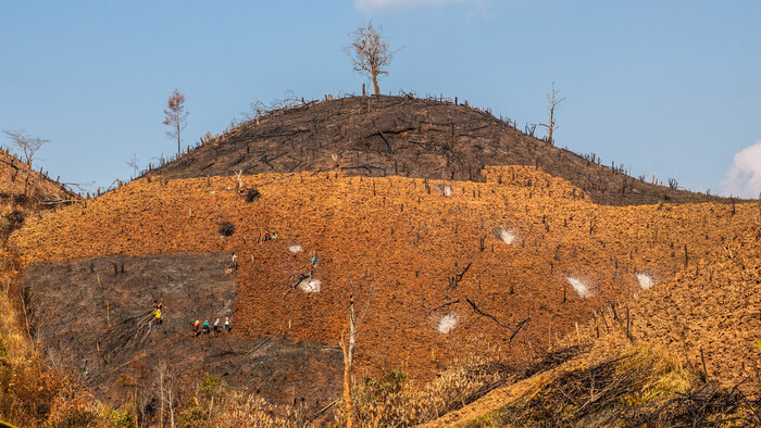 v Laose stále funguje tradičné poľnohospodárstvo založené na vypaľovaní lesa. Problém je, že sa deje na omnoho väčších rozlohách