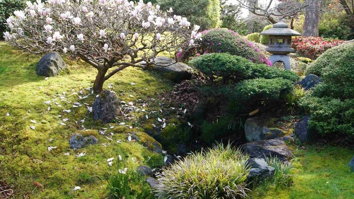 Zo zeme (s Barbarou) / Japonská záhrada