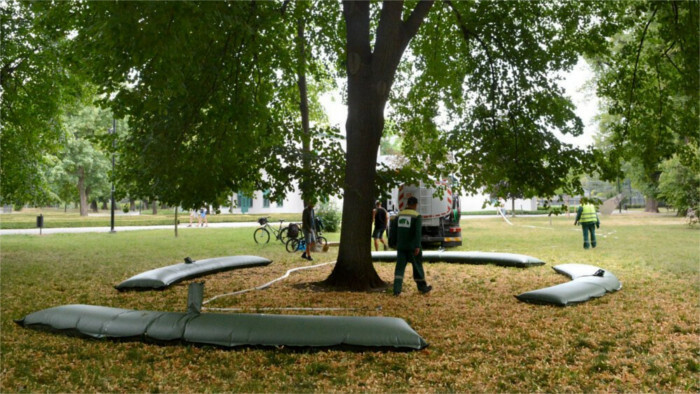 Las bolsas tanques de riego están salvando los árboles en el parque de Košice