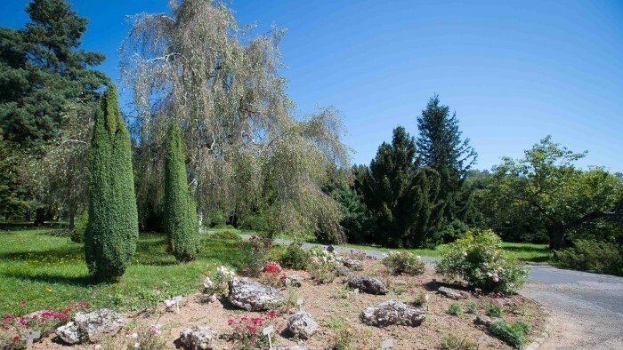 Arboretum Borová hora: Schatzkammer slowakischer Gehölze