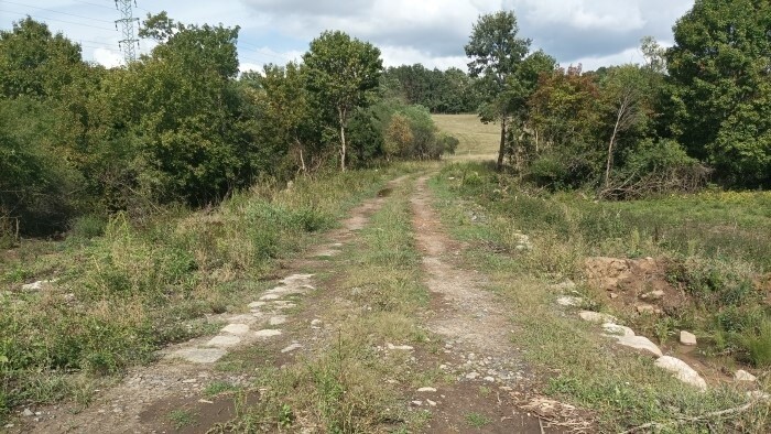 Обнаружена старинная дорога, предположительно 12-го века