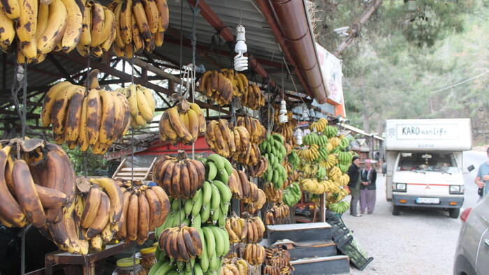 Bananistan v Turecku.JPG