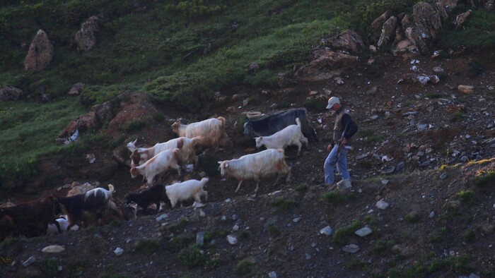21 Samopal tu ešte prednedávnom bol bežnou výbavou pastierov.JPG