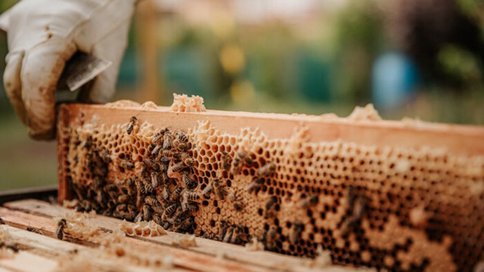 Výrobca úľov