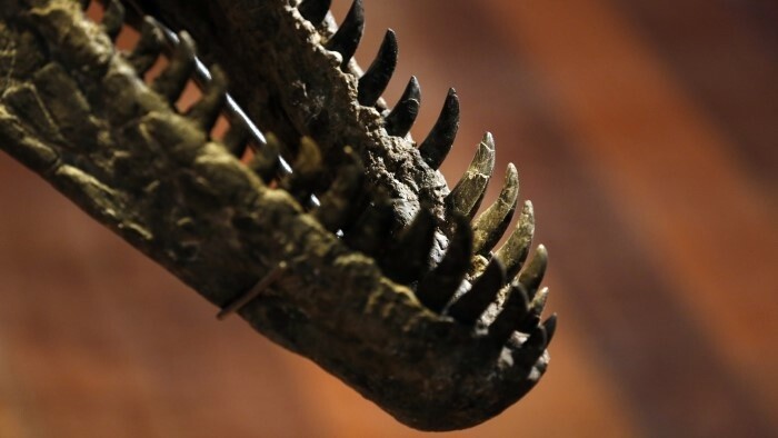 Трибечский музей представляет мир динозавров