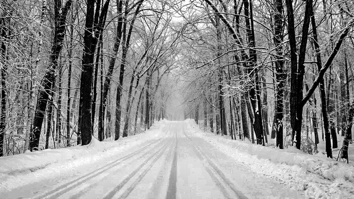 Zimná cesta Franza Schuberta