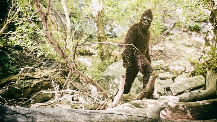 Záhada amerického Bigfoota odhalená?