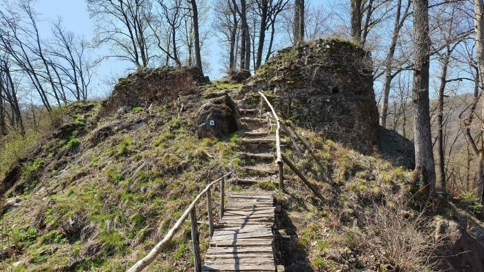 На старый Елшавский замок можно будет подняться по научной тропе