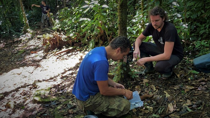 Kostarika – krajina, kde divokú prírodu pomáhajú chrániť aj slovenskí dobrovoľníci. Pridáte sa ?