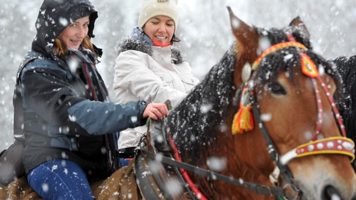 Zimná dobrodružná jazda na koni stredom Európy láka svojou atmosférou