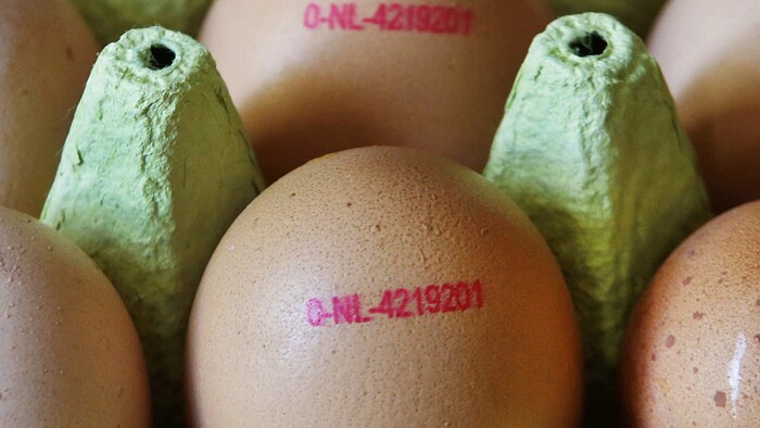 Dávajte si pozor pri kúpe vajíčok, kódy na obaloch vás môžu spliesť