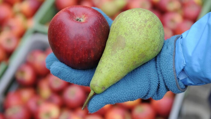Ako budete mať ovocie vždy čerstvé aj v zime? Odborník vám poradí