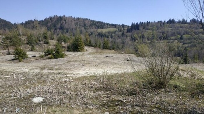 V Zborove nad Bystricou sa podarilo zachrániť vzácnu prírodnú lokalitu