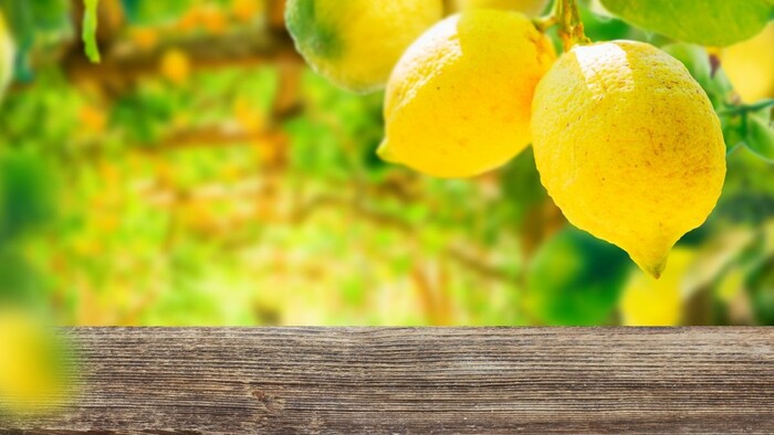 citrony.jpg
