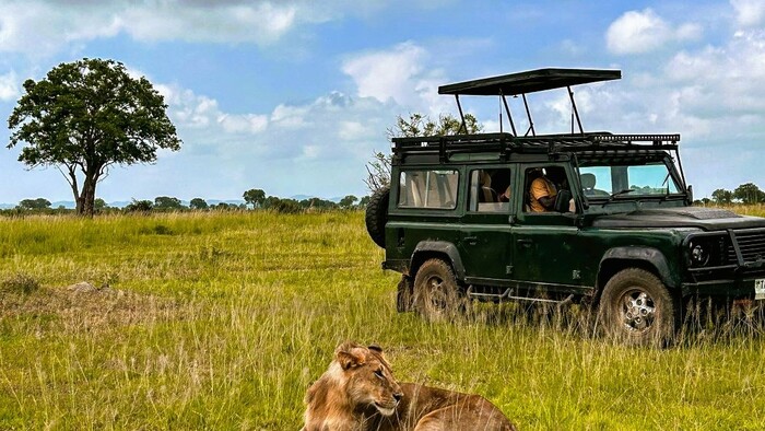 zanzibar safari 2.jpg