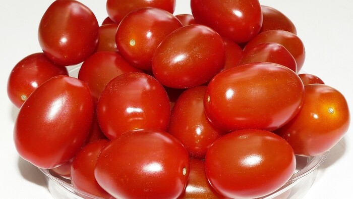 „Neškodné“ paradajky