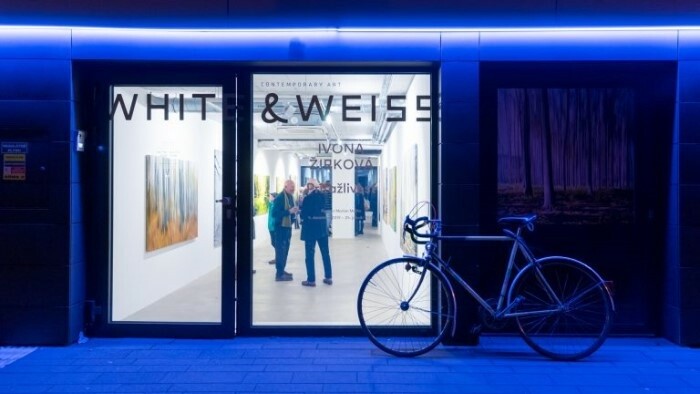 Выставка работ Милана Хаузера в галерее White & Weiss