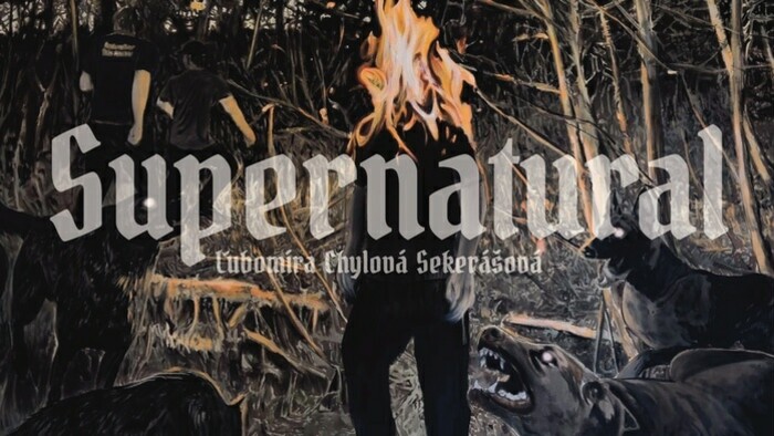 Výstava Ľubomíry Chylovej Sekerášovej: Supernatural