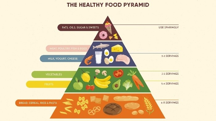 Výživová pyramída 