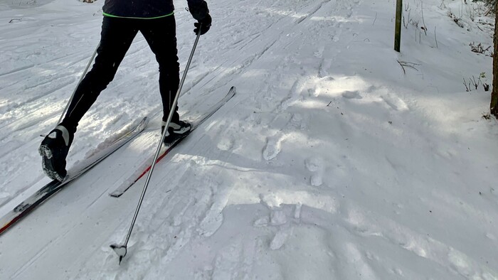 Zákaz používania fluórových voskov na lyže