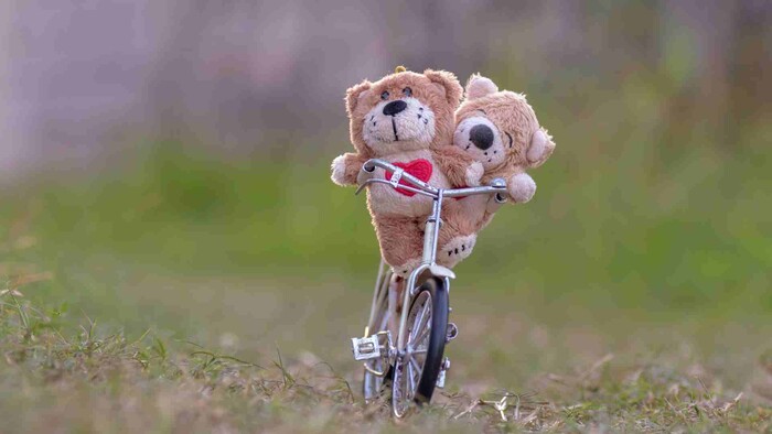Medvedie mláďatá na vodnom bicykli prevalcovali sociálne siete