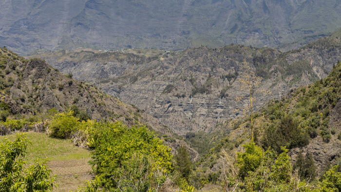 Urodne mini polia v 1200 mnm pri Cilaose, La Reunion, Andrea Skvareninova.jpg
