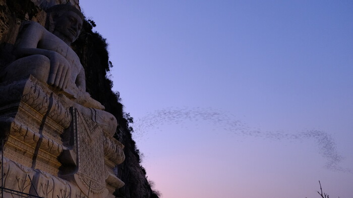 okolo 3 miliony netopierov vyletia z jaskyne pri Budhovi kazdy vecer.JPG