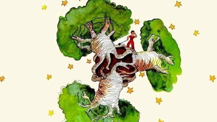Rozhlasová hra: Tam, kde rastú baobaby