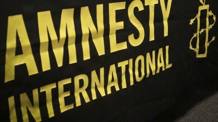Amnesty International criticises drafts related to RTVS, NGOs and birth numbers