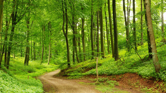 Trnavský kraj pozýva do lesov i na vodu