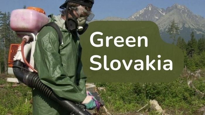 Green Slovakia: What's eating Slovakia's forests