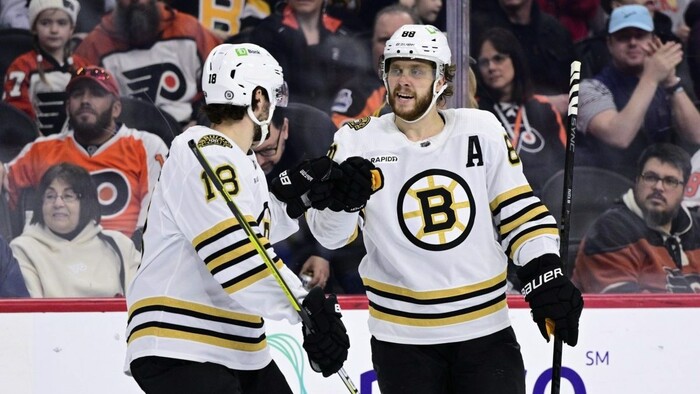 Pre hviezdne české bostonské duo sa sezóna v NHL skončila:  Posilniť by mohli národný tím