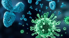 Koronavírus a protilátky