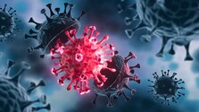 Koronavírus a jeho možné liečby na monoklonálne protilátky.