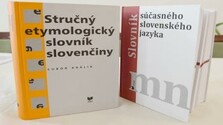 Nové podoby slovenčiny