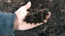 kompost-Jana-Ďurašková-TASR