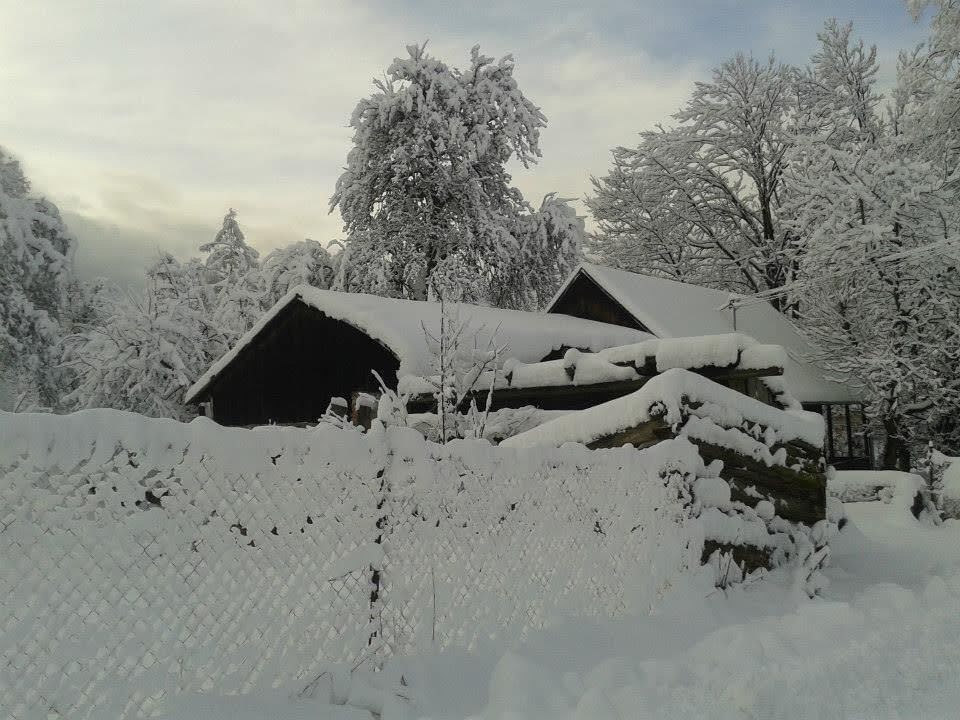 Drevenica z obce Ďurčina na tzv. Ježkech Grunte v zime