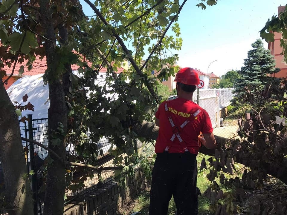 hasiči - odstraňovanie popadaných stromov